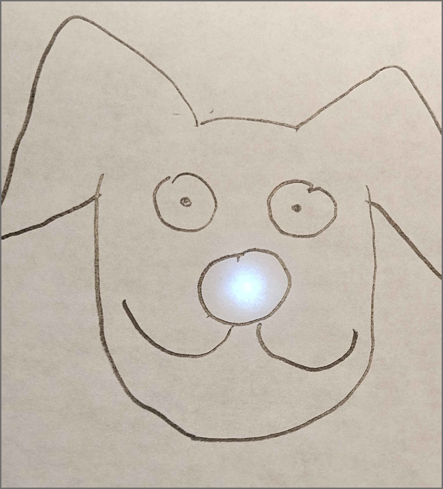 visualizing ways to showcase lights, this is a mockup of a holiday card with a dog