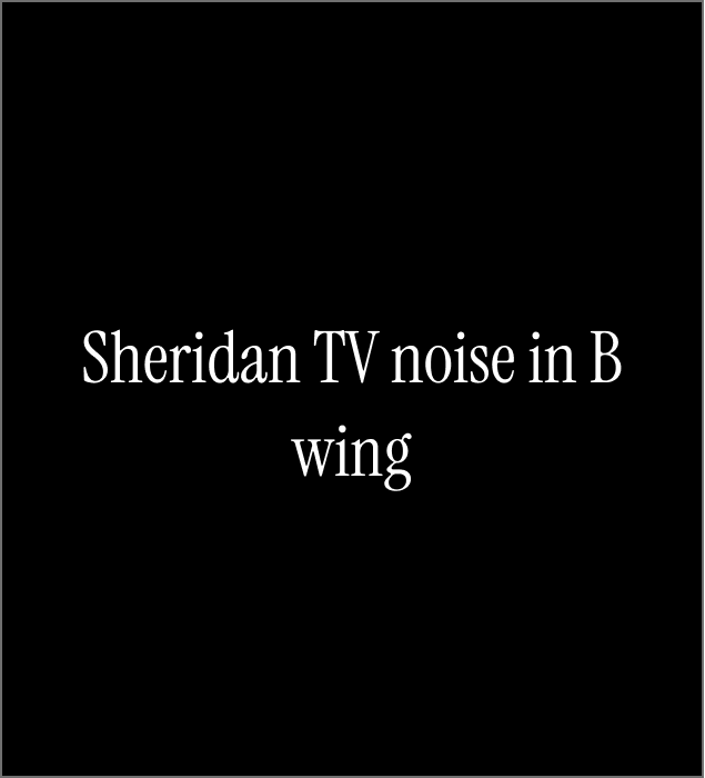 The low audio input from the TV in the Sheridan Wing, it promotes news from the basketball team